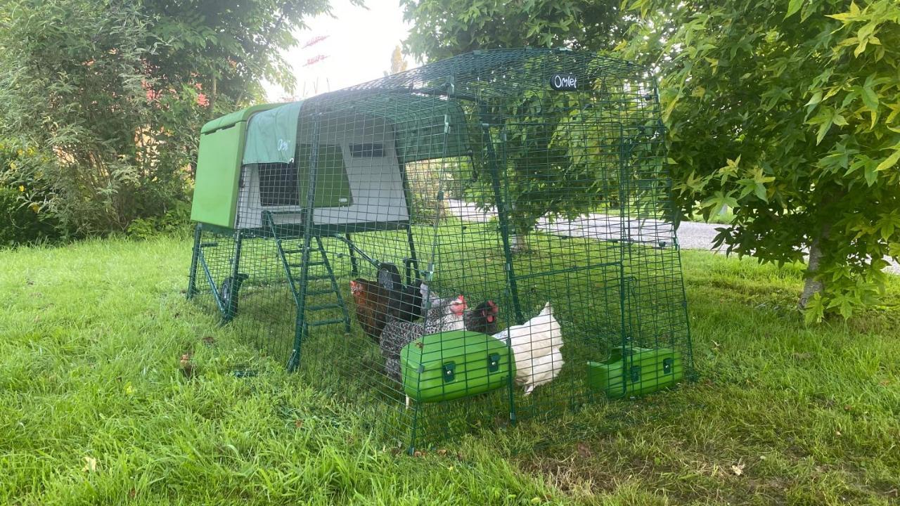 Les Mouettes - La Paix Du Bord De Seine Villa Berville-sur-Seine Eksteriør billede